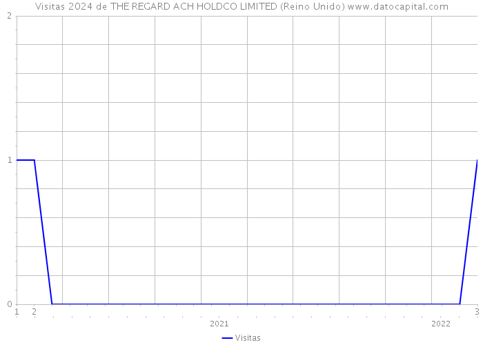 Visitas 2024 de THE REGARD ACH HOLDCO LIMITED (Reino Unido) 