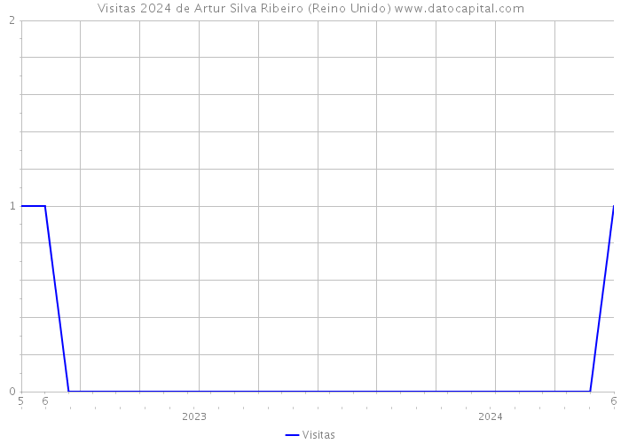 Visitas 2024 de Artur Silva Ribeiro (Reino Unido) 