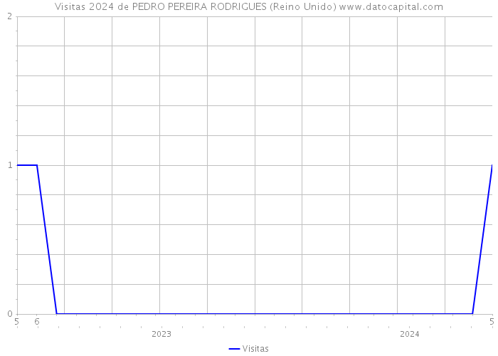 Visitas 2024 de PEDRO PEREIRA RODRIGUES (Reino Unido) 