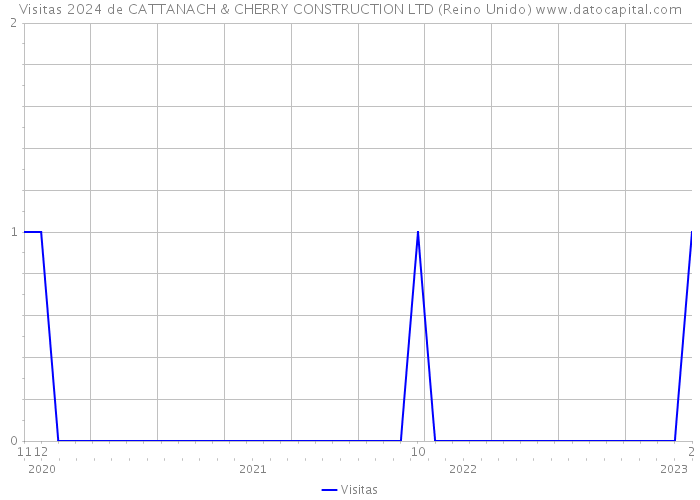 Visitas 2024 de CATTANACH & CHERRY CONSTRUCTION LTD (Reino Unido) 
