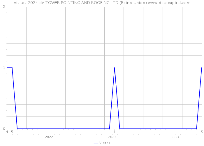 Visitas 2024 de TOWER POINTING AND ROOFING LTD (Reino Unido) 