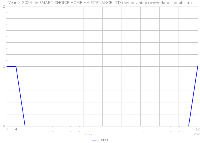 Visitas 2024 de SMART CHOICE HOME MAINTENANCE LTD (Reino Unido) 