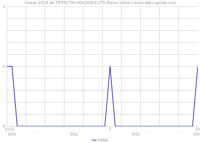 Visitas 2024 de TIFFIN TIN HOLDINGS LTD (Reino Unido) 