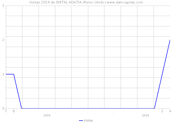 Visitas 2024 de SHITAL ADATIA (Reino Unido) 