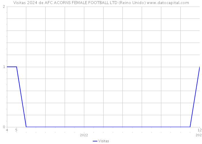 Visitas 2024 de AFC ACORNS FEMALE FOOTBALL LTD (Reino Unido) 