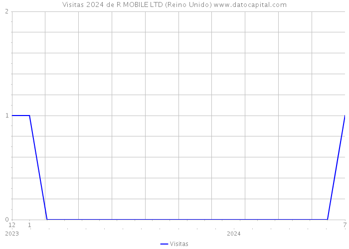 Visitas 2024 de R MOBILE LTD (Reino Unido) 