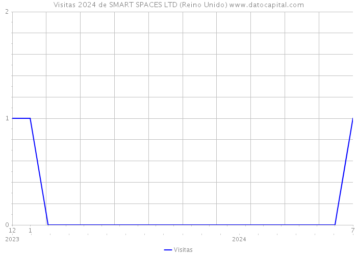 Visitas 2024 de SMART SPACES LTD (Reino Unido) 