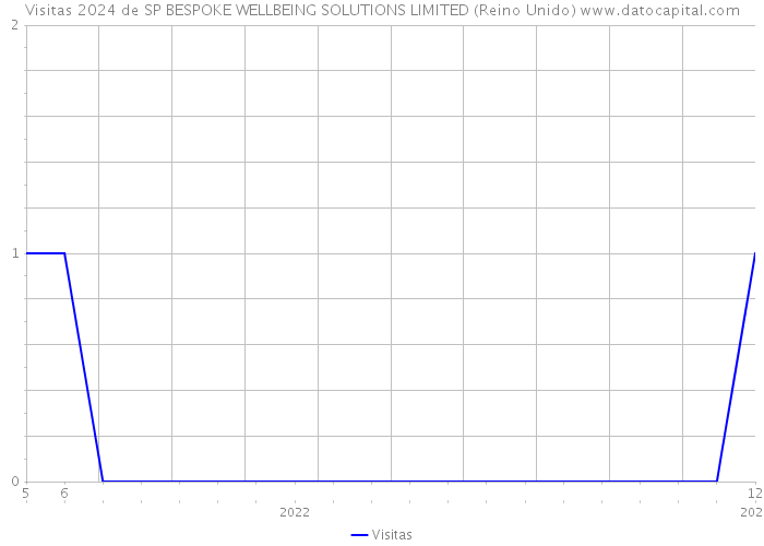 Visitas 2024 de SP BESPOKE WELLBEING SOLUTIONS LIMITED (Reino Unido) 