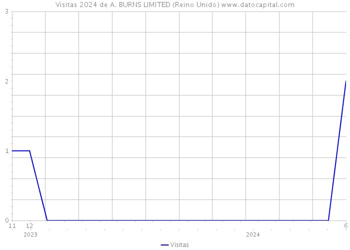 Visitas 2024 de A. BURNS LIMITED (Reino Unido) 