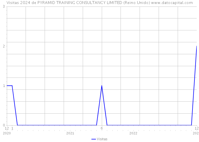 Visitas 2024 de PYRAMID TRAINING CONSULTANCY LIMITED (Reino Unido) 