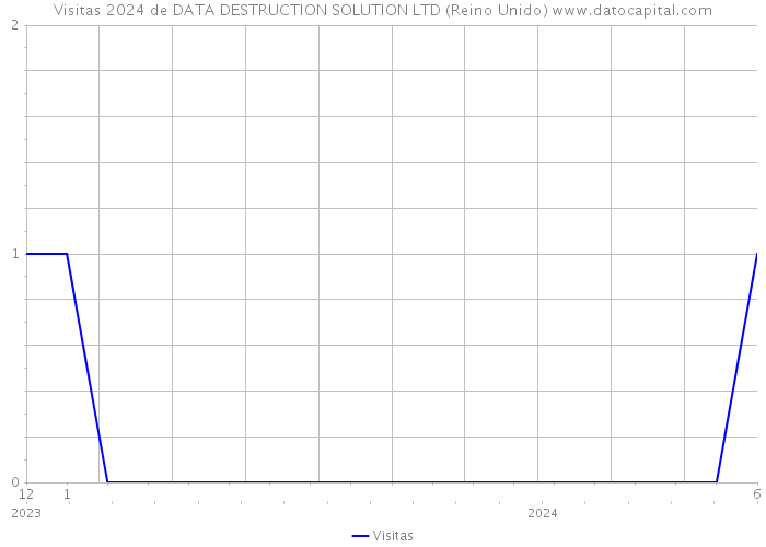 Visitas 2024 de DATA DESTRUCTION SOLUTION LTD (Reino Unido) 