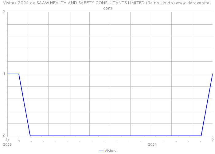 Visitas 2024 de SAAW HEALTH AND SAFETY CONSULTANTS LIMITED (Reino Unido) 