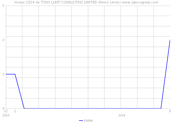 Visitas 2024 de TONY LUNT CONSULTING LIMITED (Reino Unido) 