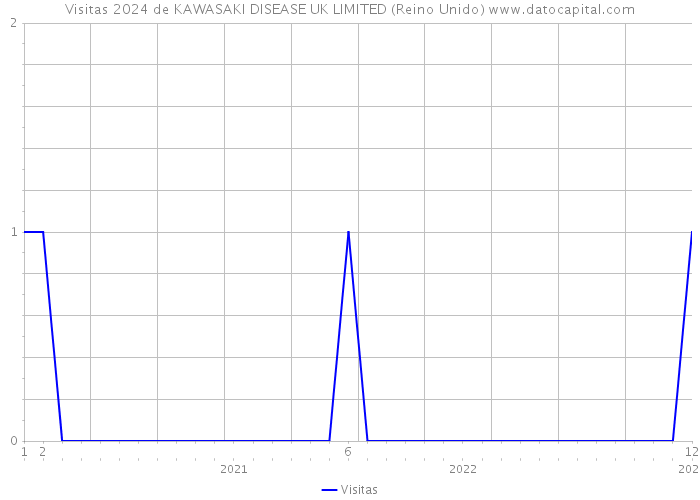 Visitas 2024 de KAWASAKI DISEASE UK LIMITED (Reino Unido) 
