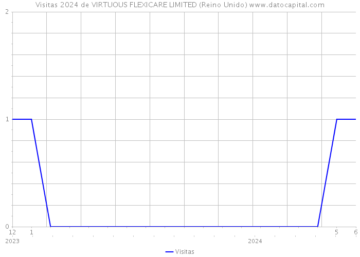 Visitas 2024 de VIRTUOUS FLEXICARE LIMITED (Reino Unido) 