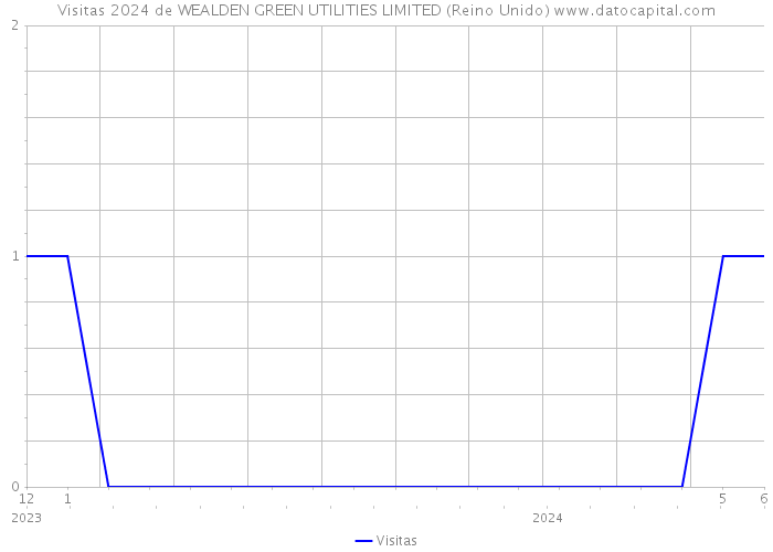 Visitas 2024 de WEALDEN GREEN UTILITIES LIMITED (Reino Unido) 