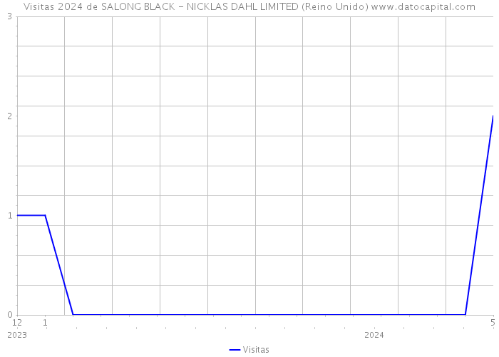 Visitas 2024 de SALONG BLACK - NICKLAS DAHL LIMITED (Reino Unido) 