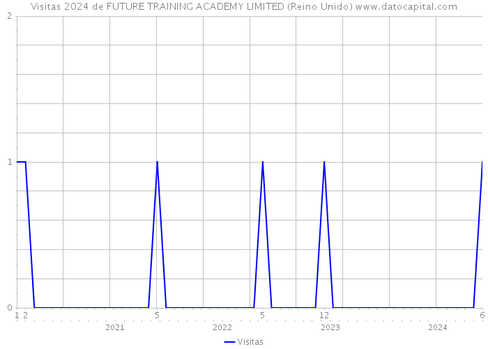 Visitas 2024 de FUTURE TRAINING ACADEMY LIMITED (Reino Unido) 