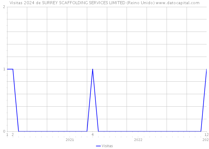 Visitas 2024 de SURREY SCAFFOLDING SERVICES LIMITED (Reino Unido) 