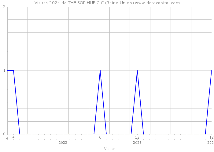 Visitas 2024 de THE BOP HUB CIC (Reino Unido) 