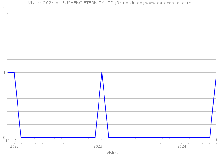 Visitas 2024 de FUSHENG ETERNITY LTD (Reino Unido) 