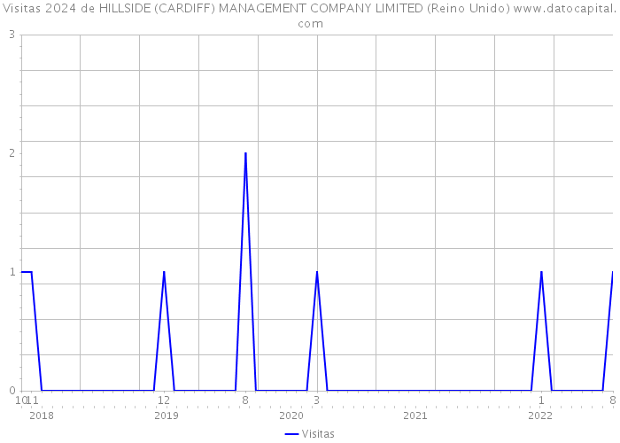 Visitas 2024 de HILLSIDE (CARDIFF) MANAGEMENT COMPANY LIMITED (Reino Unido) 