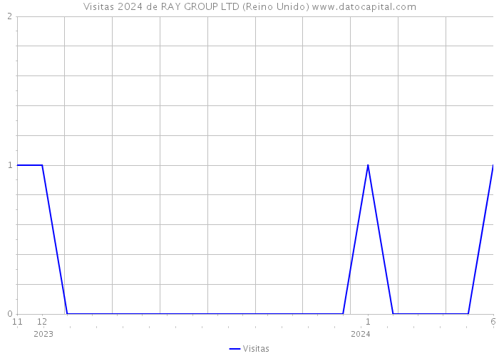 Visitas 2024 de RAY GROUP LTD (Reino Unido) 