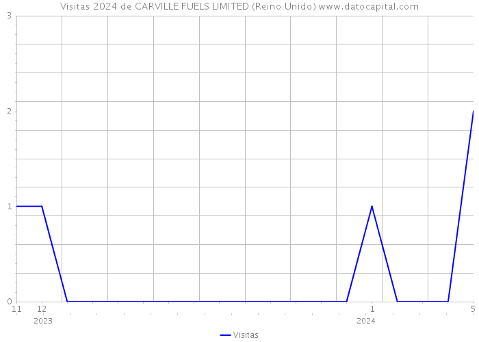 Visitas 2024 de CARVILLE FUELS LIMITED (Reino Unido) 