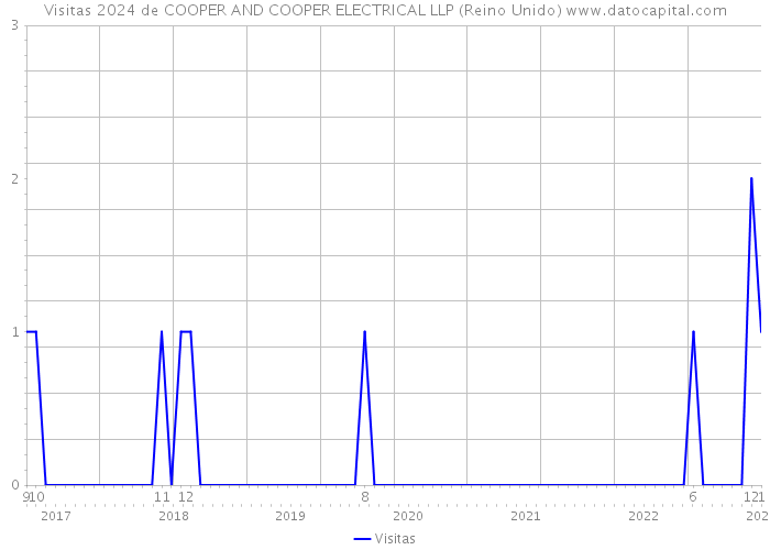 Visitas 2024 de COOPER AND COOPER ELECTRICAL LLP (Reino Unido) 
