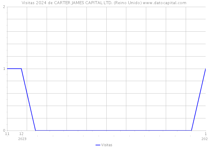 Visitas 2024 de CARTER JAMES CAPITAL LTD. (Reino Unido) 