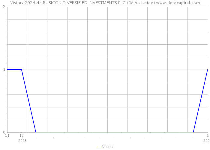 Visitas 2024 de RUBICON DIVERSIFIED INVESTMENTS PLC (Reino Unido) 