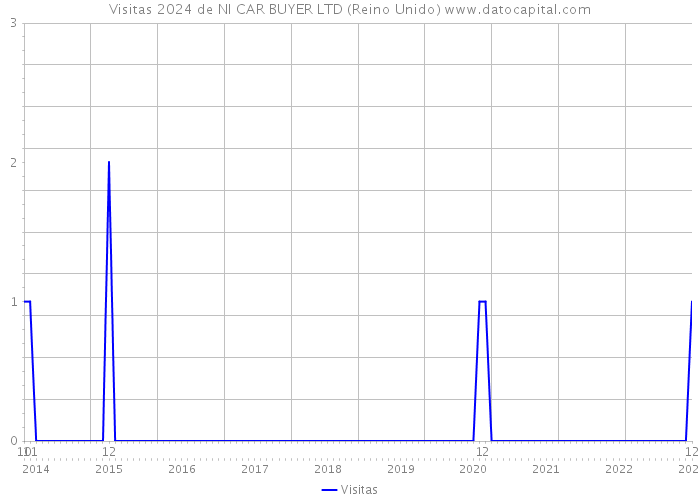 Visitas 2024 de NI CAR BUYER LTD (Reino Unido) 