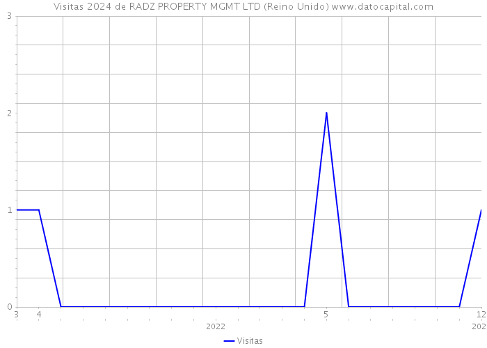 Visitas 2024 de RADZ PROPERTY MGMT LTD (Reino Unido) 