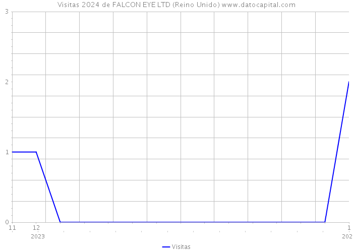 Visitas 2024 de FALCON EYE LTD (Reino Unido) 