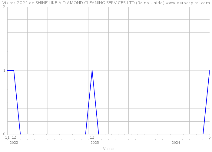 Visitas 2024 de SHINE LIKE A DIAMOND CLEANING SERVICES LTD (Reino Unido) 