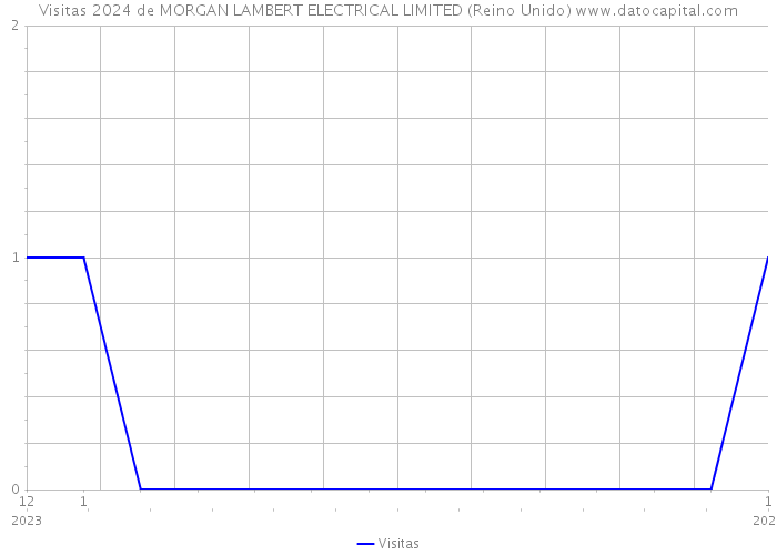 Visitas 2024 de MORGAN LAMBERT ELECTRICAL LIMITED (Reino Unido) 