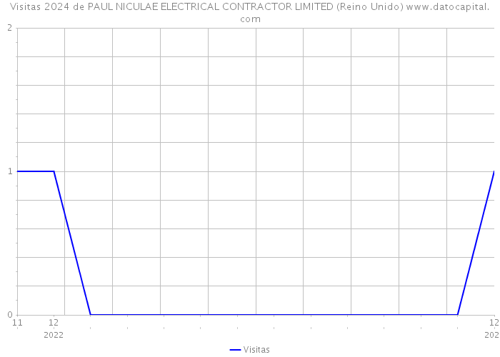 Visitas 2024 de PAUL NICULAE ELECTRICAL CONTRACTOR LIMITED (Reino Unido) 