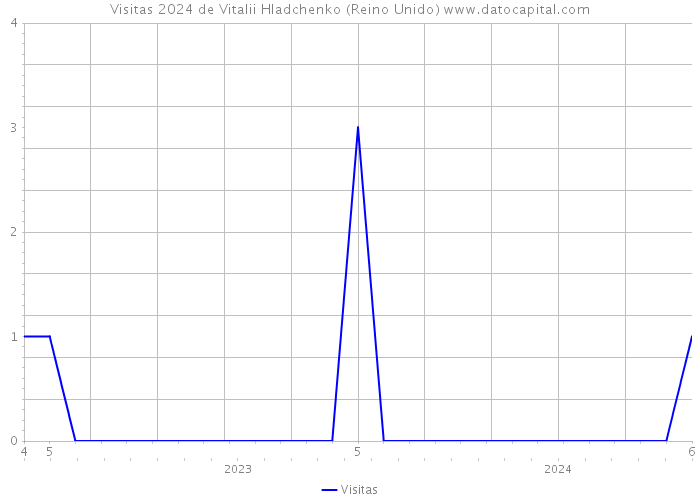 Visitas 2024 de Vitalii Hladchenko (Reino Unido) 