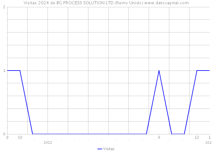 Visitas 2024 de BG PROCESS SOLUTION LTD (Reino Unido) 