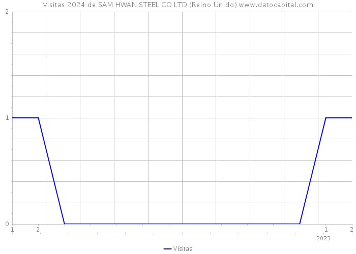 Visitas 2024 de SAM HWAN STEEL CO LTD (Reino Unido) 