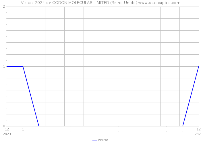 Visitas 2024 de CODON MOLECULAR LIMITED (Reino Unido) 