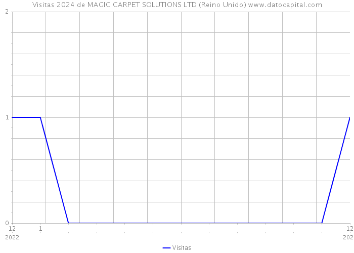 Visitas 2024 de MAGIC CARPET SOLUTIONS LTD (Reino Unido) 