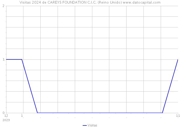 Visitas 2024 de CAREYS FOUNDATION C.I.C. (Reino Unido) 