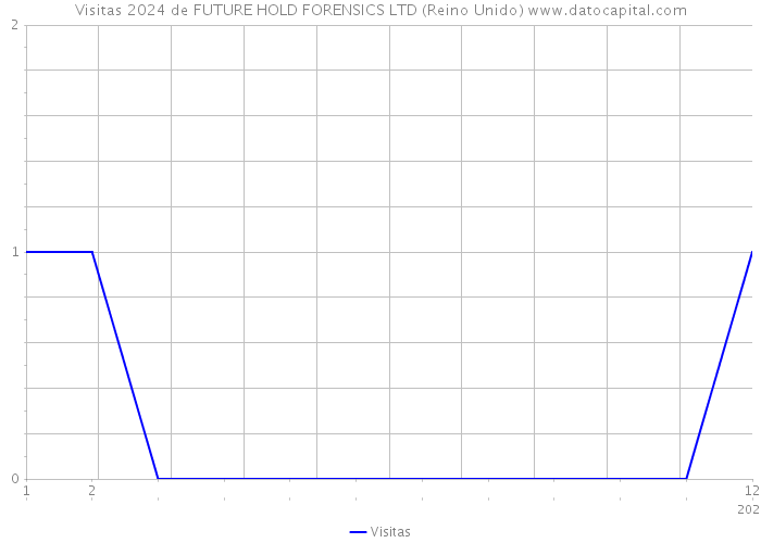 Visitas 2024 de FUTURE HOLD FORENSICS LTD (Reino Unido) 