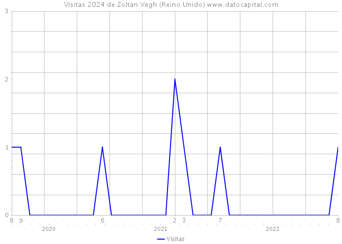 Visitas 2024 de Zoltan Vegh (Reino Unido) 