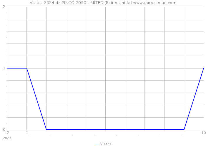 Visitas 2024 de PINCO 2090 LIMITED (Reino Unido) 