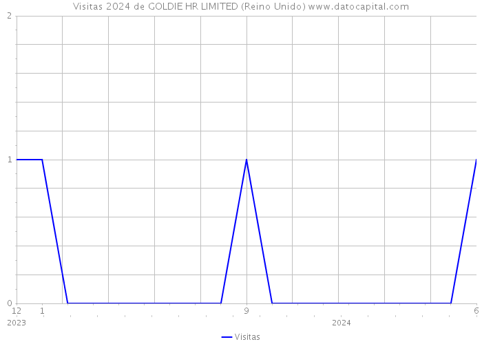 Visitas 2024 de GOLDIE HR LIMITED (Reino Unido) 