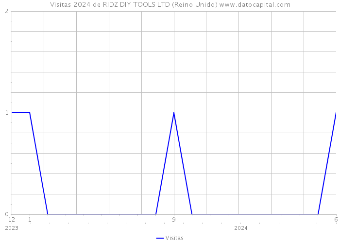 Visitas 2024 de RIDZ DIY TOOLS LTD (Reino Unido) 