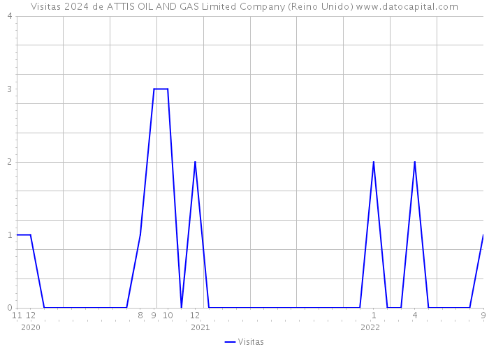 Visitas 2024 de ATTIS OIL AND GAS Limited Company (Reino Unido) 