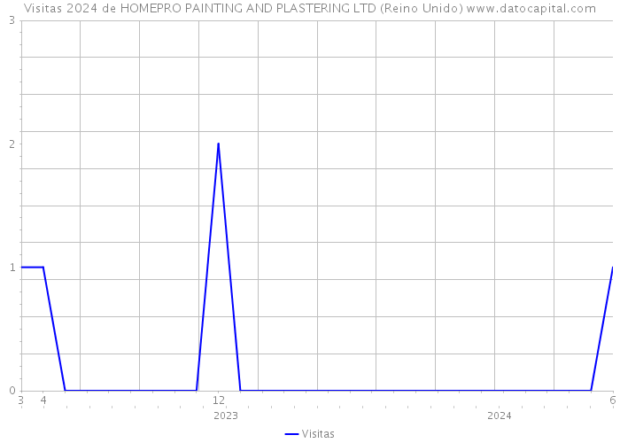 Visitas 2024 de HOMEPRO PAINTING AND PLASTERING LTD (Reino Unido) 